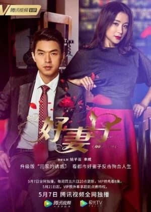 Recommendation: Good Wife (2020) similar to Love, Just Come
