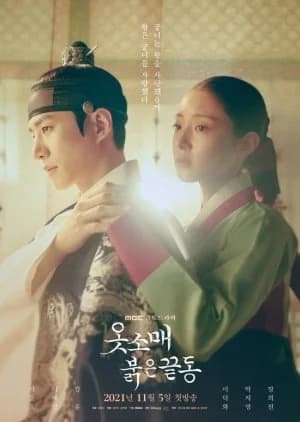 Recommendation: The Red Sleeve similar to Saimdang, Light’s Diary
