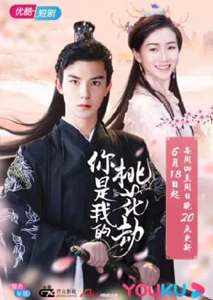 Recommendation: You Are My Peach Blossom Debt similar to Rebirth for You