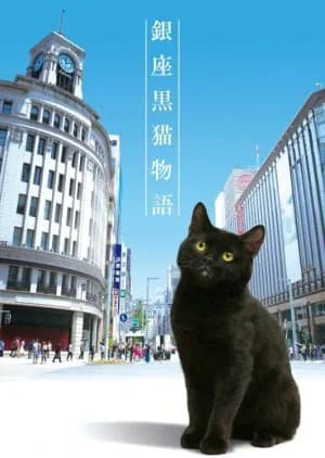 Recommendation: Ginza Kuroneko Monogatari similar to Blanket Cats