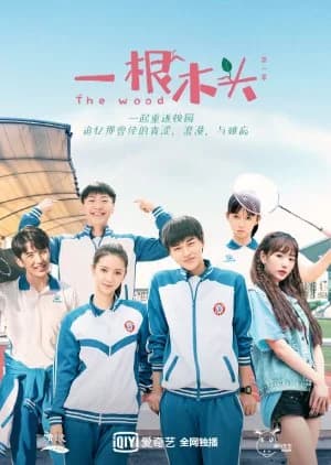 Recommendation: The Wood similar to Phantom School