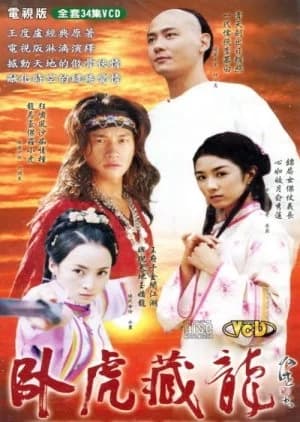 Recommendation: Crouching Tiger Hidden Dragon similar to Colourful Bone