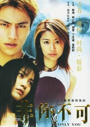Recommendation: Only You (2002) similar to Hello Beautiful Life