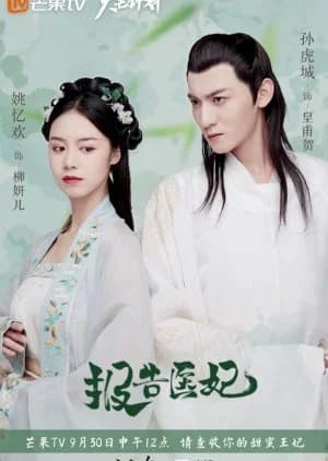 Recommendation: Doctor Princess similar to Love Through a Millennium