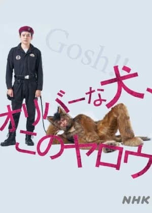 Recommendation: Oliver na Inu, (Gosh!!) Kono Yaro similar to Obsession (2022)