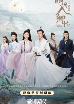 Recommendation: A Forbidden Marriage similar to Princess Silver