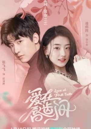 Recommendation: Love at First Taste similar to Kami no Te (2019)