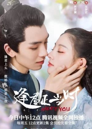 Recommendation: Meet You similar to Lovely Swords Girl