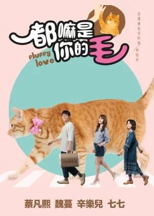 Recommendation: Fluffy Love similar to Blanket Cats