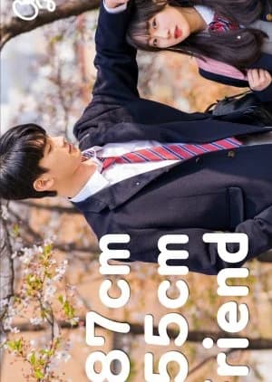 Recommendation: 187 cm Male Friend vs 155 cm Female Friend similar to Professional Single