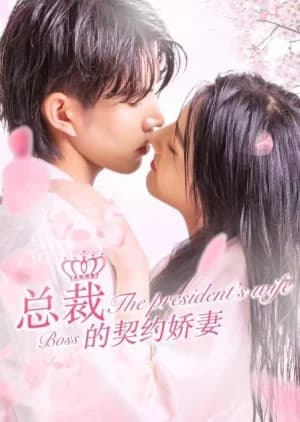 Recommendation: The President's Wife Boss similar to Peng