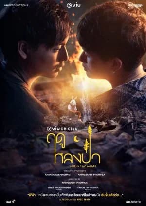 Recommendation: Lost in the Woods similar to Let Me into Your Heart