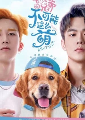 Recommendation: Lovely Brother similar to Super Partner