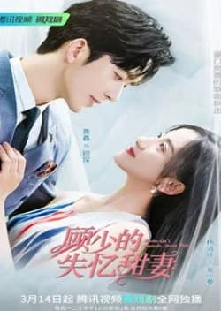 Recommendation: Master Gu’s Amnesia Sweet Wife similar to LTNS