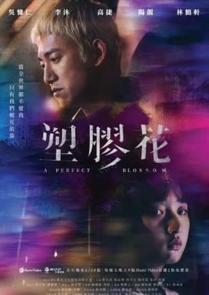 A Perfect Blossom - Asian drama recommendation