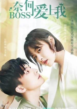 Well Staged Love - Asian drama recommendation