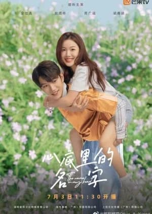 Recommendation: The Name in My Heart similar to Last Scandal