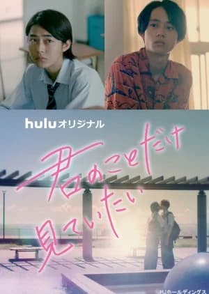 Recommendation: Kimi no Koto Dake Mite Itai similar to Kimi to Nara Koi wo Shite Mite mo