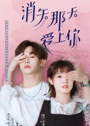 Recommendation: Disappearing Love similar to Sure, Sure