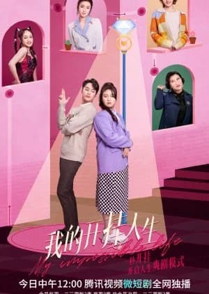 Recommendation: My Impossible Life similar to Stealing Seconds