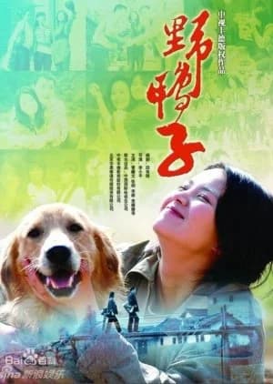 The Wild Duck - Asian drama recommendation