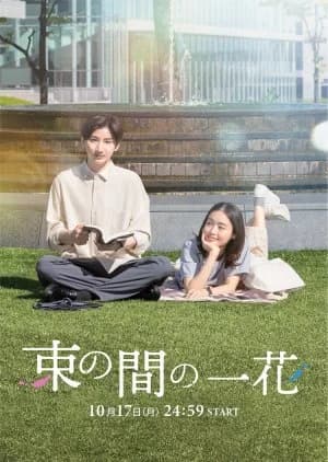 Recommendation: Tsukanoma no Ichika similar to Shrink: Seishinkai Yowai