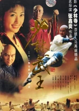 Recommendation: Shaolin King of Martial Arts similar to Undercover Swordman