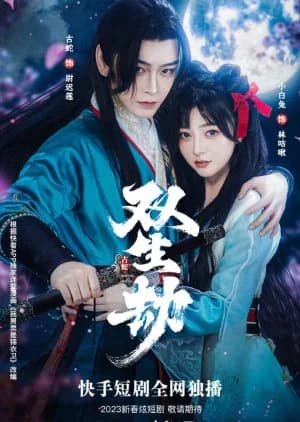 Recommendation: Shuang Sheng Jie similar to Dear Diary