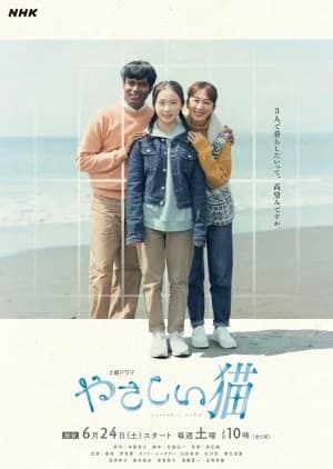 Recommendation: Yasashii Neko similar to Hakui no Namida