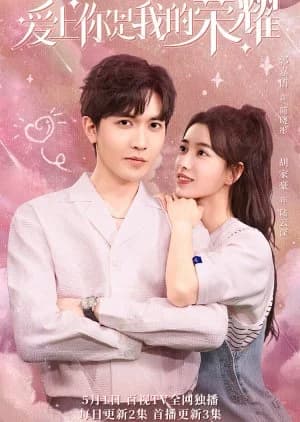 Ai Shang Ni Shi Wo De Rong Yao - Asian drama recommendation