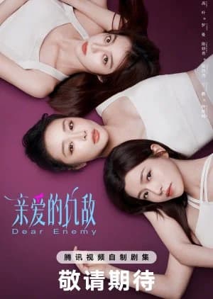 Recommendation: Dear Enemy (2025) similar to Once and Forever: The Sun Rises