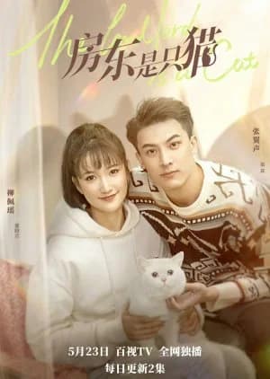 Recommendation: The Landlord Is a Cat similar to 24-Hour Super Star