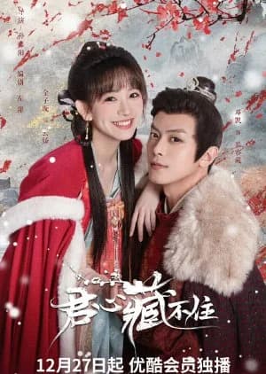 Recommendation: Governor's Secret Love similar to Unattackable Women