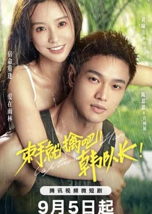 Recommendation: Captain Han similar to Memory Love