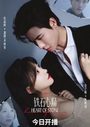 Recommendation: Heart of Stone (2025) similar to Money Flower