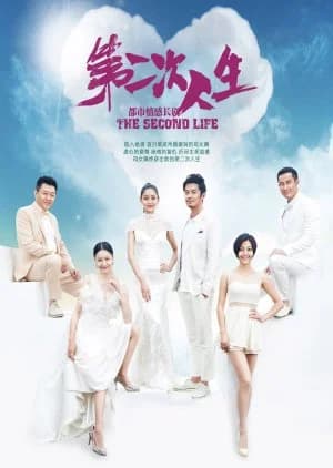 Recommendation: The Second Life (2014) similar to The Wedding (2009)