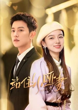 Recommendation: My Lovely Wife similar to Return the World to You