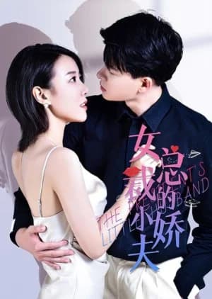 Recommendation: The President's Little Husband similar to The Corner of Love