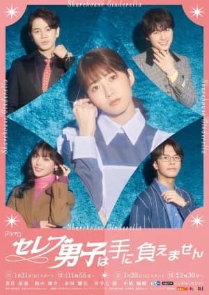 Recommendation: Celebrity Danshi wa Te ni Oemasen similar to "Watashi wo Moratte": Koiji Hen