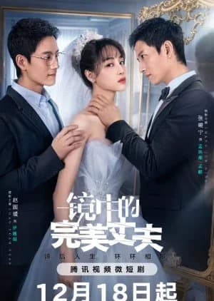Recommendation: The Perfect Husband in the Mirror similar to Snowfall