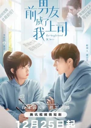 Recommendation: Ex-Boyfriend & Boss similar to Law School