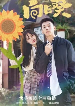 Recommendation: Helianthus Annuus similar to Breathtaking