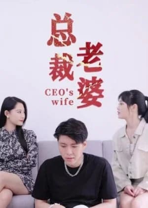 Recommendation: CEO's Wife similar to Fang Yang Ba Lao Ban