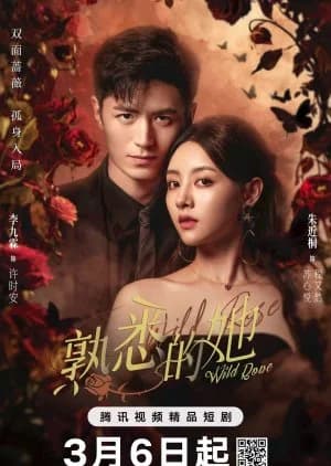 Recommendation: Wild Rose (2025) similar to Marry to the Enemy of My Enemy