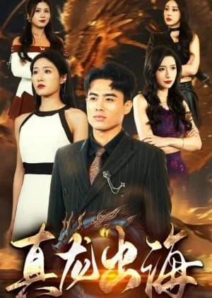 Recommendation: Zhen Long Chu Hai similar to Love Is Gone