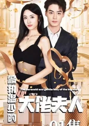 The Paranoid and Gentle Lady of the Big Shot - Asian drama recommendation