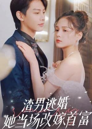 Recommendation: Zha Nan Tao Hun, Ta Dang Chang Gai Jia Shou Fu similar to Just Fiancée