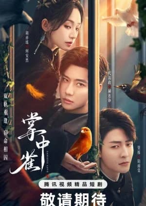 Recommendation: Sadistic Love similar to Maid's Revenge