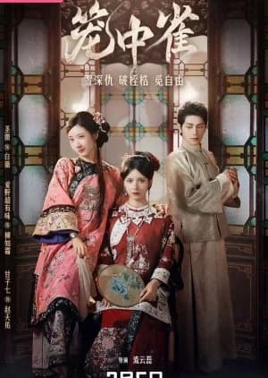 Recommendation: The Canary in the Cage similar to Gui Ge Xiu Meng