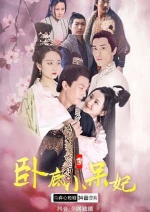 Recommendation: Wo Di Xiao Dai Fei similar to Money Honey Brainy